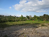 Commercial/farm land For Sale in Mandeville, Manchester Jamaica | [3]