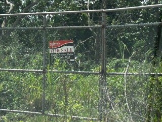 Land For Sale in SNOWDEN MANCHESTER Blenheim, Manchester Jamaica | [1]