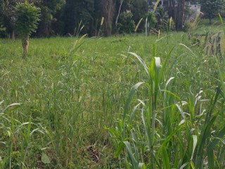 Residential lot For Sale in Anchovy, St. James Jamaica | [1]