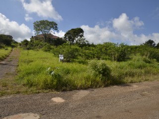 Residential lot For Sale in Mandeville, Manchester Jamaica | [2]