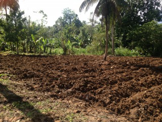 Commercial/farm land For Sale in Port Antonio, Portland Jamaica | [12]