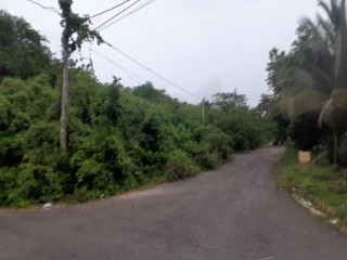 Residential lot For Sale in Negril, Westmoreland, Jamaica