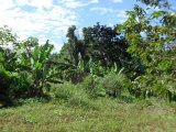 Residential lot For Sale in Hatfield, Manchester Jamaica | [4]