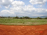 Commercial/farm land For Sale in Pedro Plains close to Treasure Beach, St. Elizabeth Jamaica | [11]