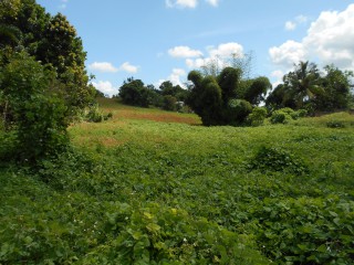 Land For Sale in Mandeville, Manchester Jamaica | [3]