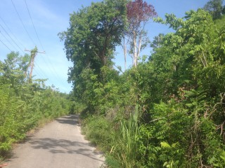 Residential lot For Sale in Runaway Bay, St. Ann Jamaica | [3]