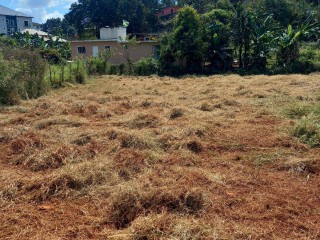 Residential lot For Sale in Mandeville, Manchester Jamaica | [1]