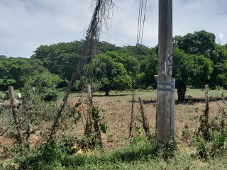 Residential lot For Sale in The Vineyards, St. Catherine Jamaica | [2]