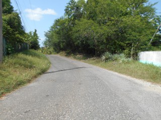 Land For Sale in Rosewell, Clarendon, Jamaica