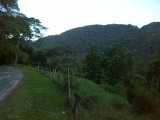 Residential lot For Sale in Riversdale, St. Catherine Jamaica | [8]