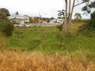 Residential lot For Sale in Mandeville, Manchester Jamaica | [1]