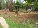 House For Sale in Green acres, St. Catherine Jamaica | [7]