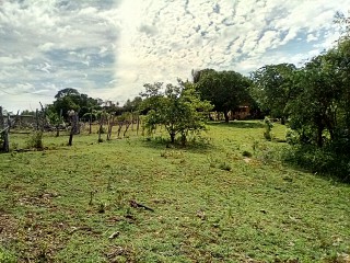 Land For Sale in Watchwell, St. Elizabeth Jamaica | [4]