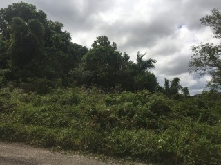 Residential lot For Sale in Albion Estates, Manchester Jamaica | [3]