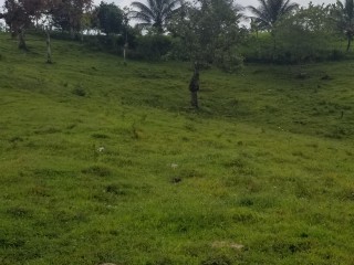 Residential lot For Sale in Seaford TownGerman Town, Westmoreland Jamaica | [7]