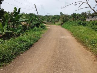 Residential lot For Sale in Duanvale Trelawny, Trelawny Jamaica | [3]