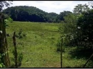 Land For Sale in Unity Wakefield, Trelawny Jamaica | [1]