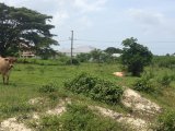 Residential lot For Sale in Black River, St. Elizabeth Jamaica | [1]