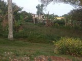 Residential lot For Sale in Mandeville, Manchester Jamaica | [2]