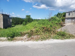 Residential lot For Sale in Longville Park, Clarendon Jamaica | [1]