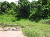 Residential lot For Sale in Mandeville, Manchester Jamaica | [6]