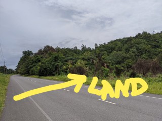  For Sale in Little Spring Garden, Portland Jamaica | [8]