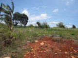 Residential lot For Sale in Southfield, St. Elizabeth Jamaica | [2]