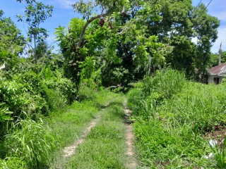 Land For Sale in Hopewell, Hanover Jamaica | [2]