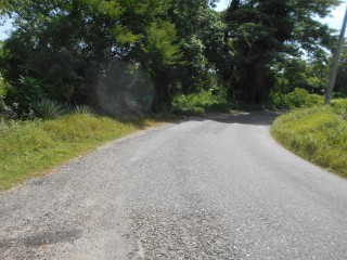 Land For Sale in Rosewell, Clarendon, Jamaica