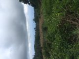 Commercial/farm land For Sale in LILYFIELD BAMBOO, St. Ann Jamaica | [4]