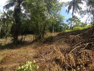 Commercial/farm land For Sale in Port Antonio, Portland Jamaica | [9]