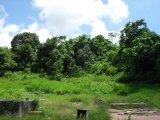 Residential lot For Sale in Mandeville, Manchester Jamaica | [3]