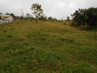 Residential lot For Sale in Mandeville, Manchester Jamaica | [9]