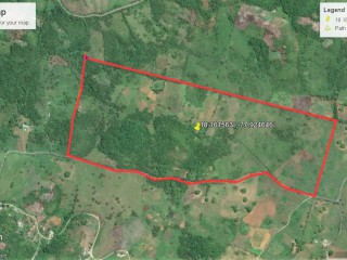 Commercial/farm land For Sale in New Market, St. Elizabeth Jamaica | [3]