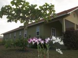 House For Sale in Priory, St. Ann Jamaica | [3]