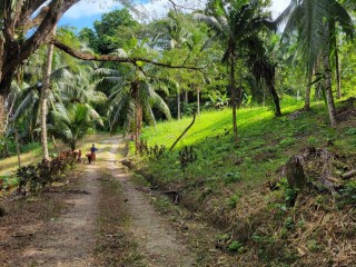 Land For Sale - PORT MARIA, St. Mary, Jamaica