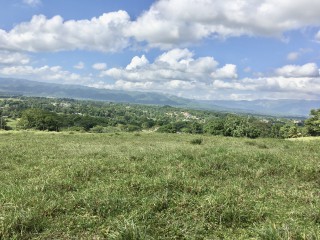 Residential lot For Sale in Linstead, St. Catherine Jamaica | [3]