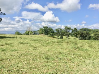 Residential lot For Sale in Linstead, St. Catherine Jamaica | [7]