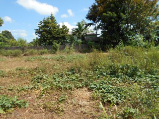 Residential lot For Sale in Mandeville, Manchester Jamaica | [5]