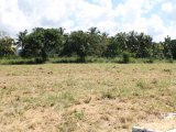 Residential lot For Sale in Bog Walk, St. Catherine Jamaica | [3]