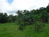 Residential lot For Sale in Mandeville, Manchester Jamaica | [5]