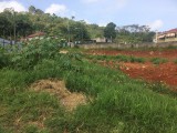 Residential lot For Sale in Mandeville, Manchester Jamaica | [1]