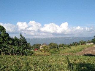 Land For Sale in Rose Hall District, St. Elizabeth, Jamaica