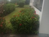 House For Sale in HOPE PASTURES, Kingston / St. Andrew Jamaica | [1]