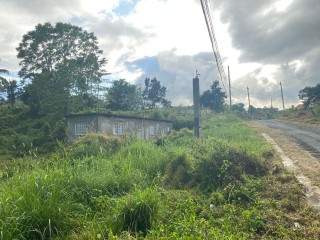 House For Sale in LAND PART OF DARLISTON, Westmoreland Jamaica | [3]