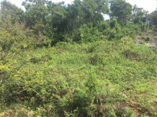 Residential lot For Sale in Albion Estates, Manchester Jamaica | [2]