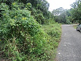 Residential lot For Sale in Santa Cruz, St. Elizabeth Jamaica | [2]