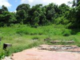 Residential lot For Sale in Mandeville, Manchester Jamaica | [2]