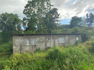 House For Sale in LAND PART OF DARLISTON, Westmoreland Jamaica | [1]