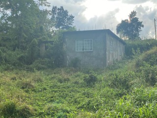 House For Sale in LAND PART OF DARLISTON, Westmoreland Jamaica | [2]